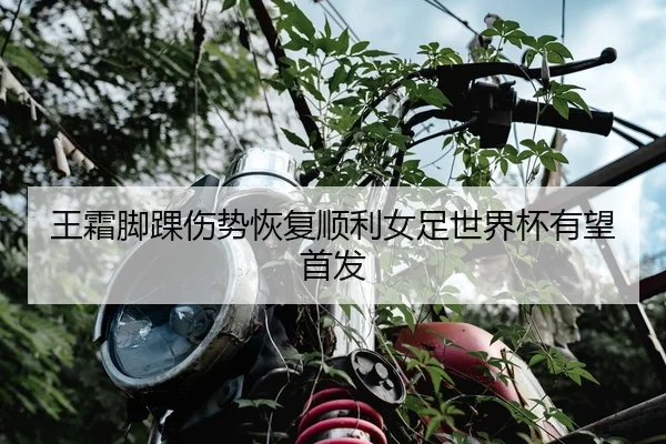 wang-shuang-jiao-huai-shang-shi-hui-fu-shun-li-nv-zu-shi-jie-bei-you-wang-shou-fa-2-977.jpg